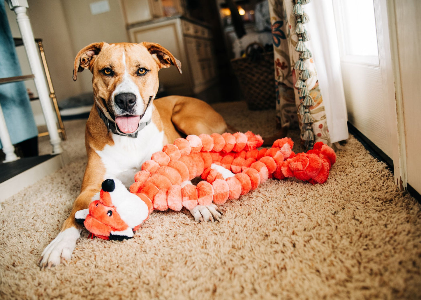 Multipet Crimpy Cuddler 27" Dog Toy