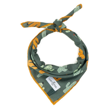 The Looking Sharp Bandana