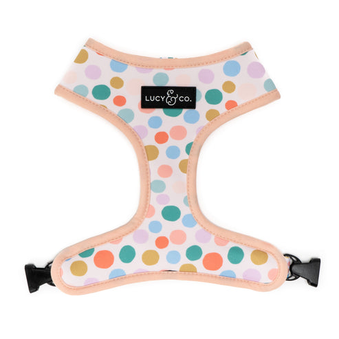 A Lotto Gelato Reversible Harness