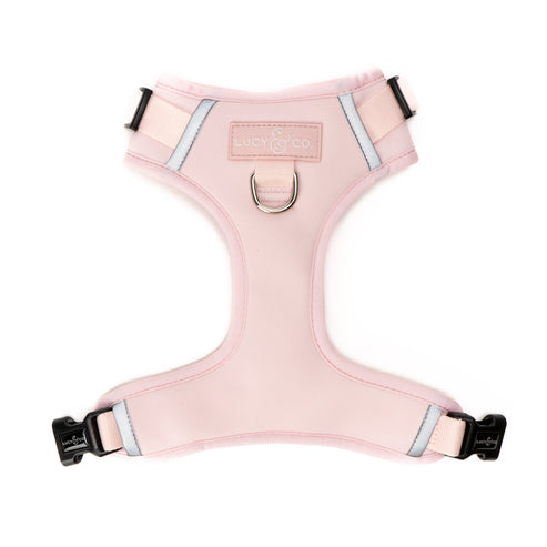 No-Pull Harness - Rosewater