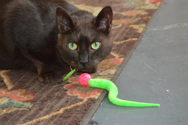 Wiggly Ball - Solid Marbled Cat Toy Bouncy Ball