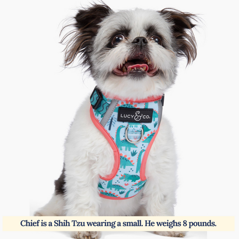 No-Pull Harness - DinoROAR