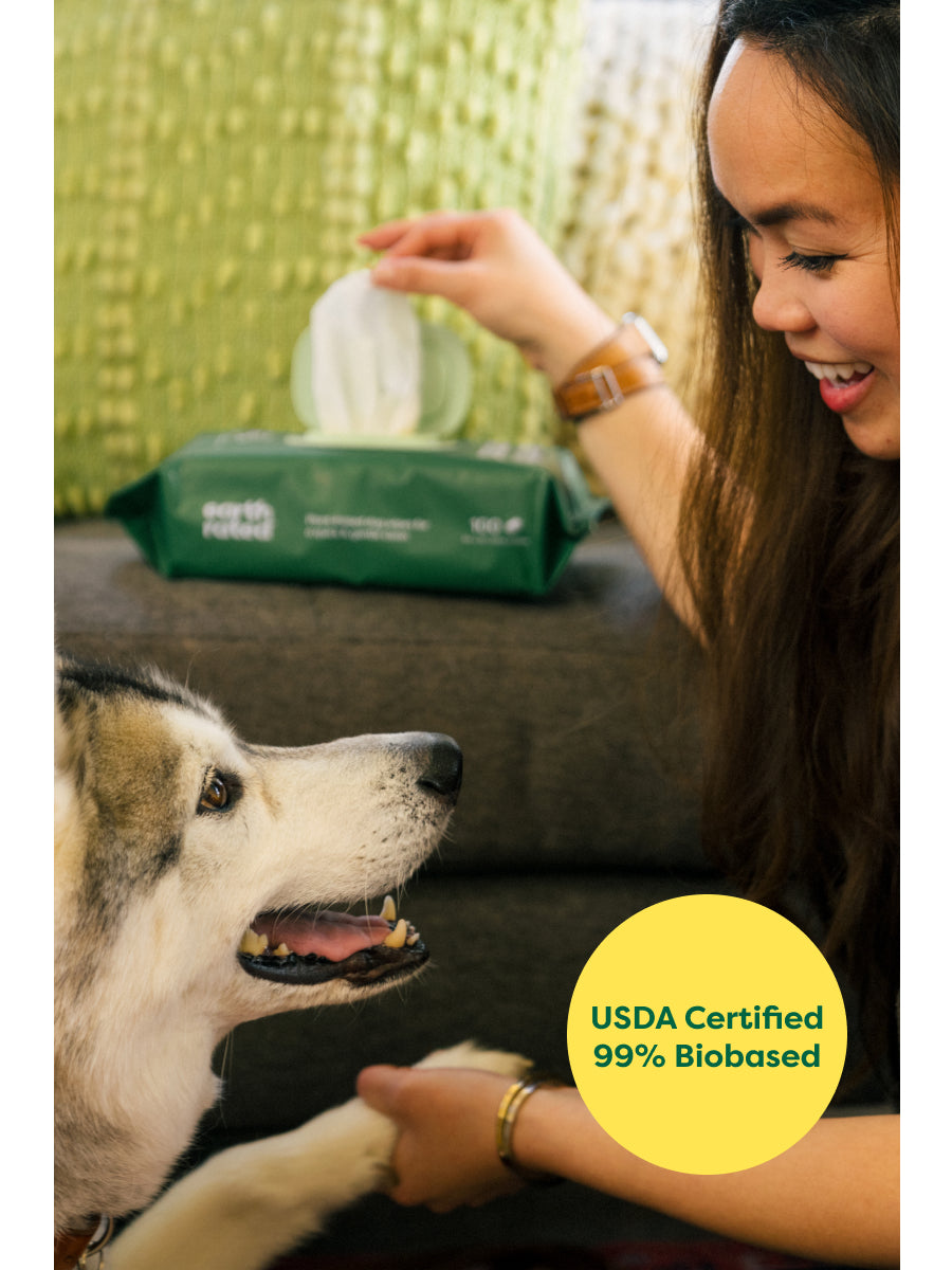 Plant-Based Dog Grooming Wipes 100ct