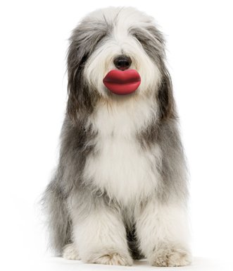 Humunga Lips Toy
