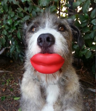 Humunga Lips Toy