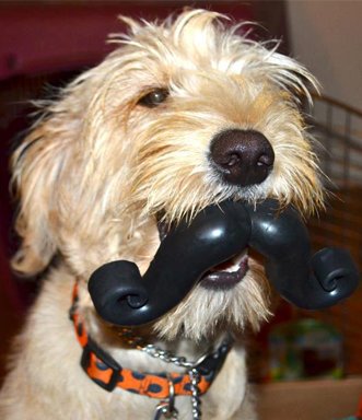 Humunga Stache Toy