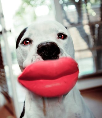 Humunga Lips Toy