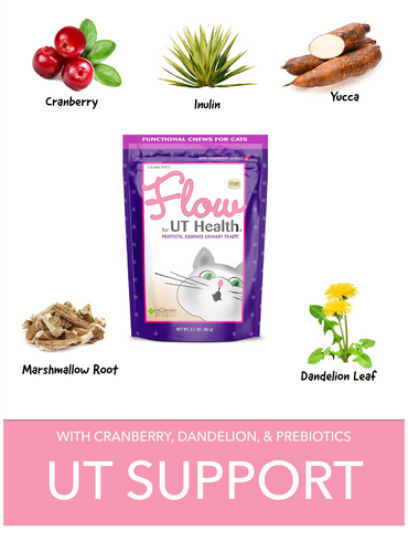 InClover Flow | UT Health Soft Chew With Cranberry Extract for Cats