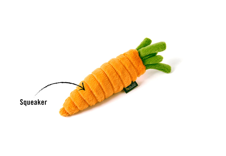 Garden Fresh Collection - Carrot Toy