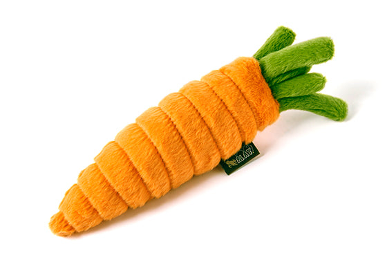 Garden Fresh Collection - Carrot Toy