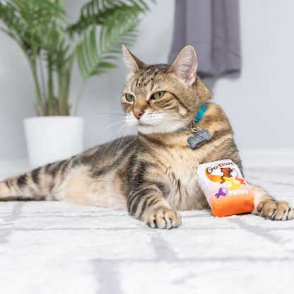 Go Fish Phishy Cat Toy