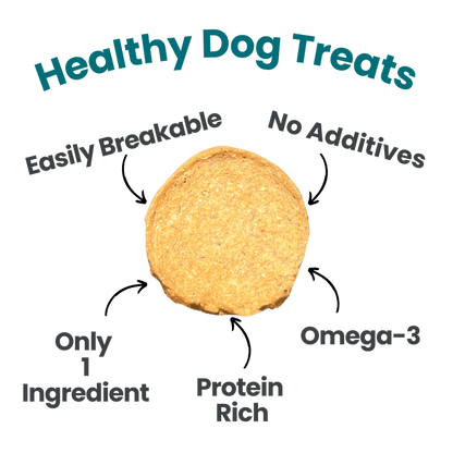 Fish Chips Dog Treats