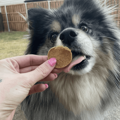 Fish Chips Dog Treats