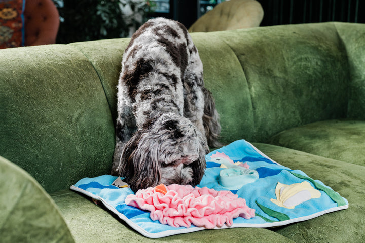 Under the Sea Snuffle Mat