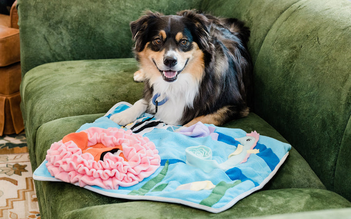 Under the Sea Snuffle Mat