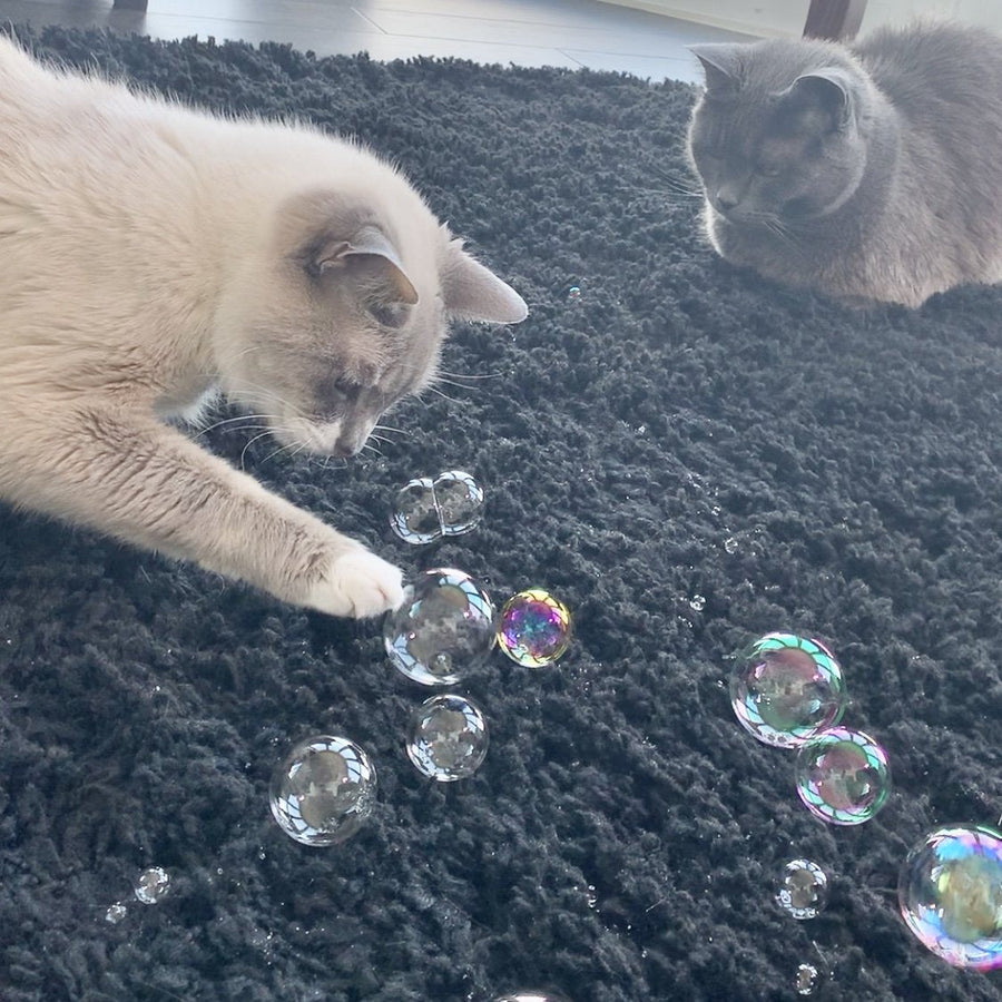 Purrsecco Catnip Bubbles