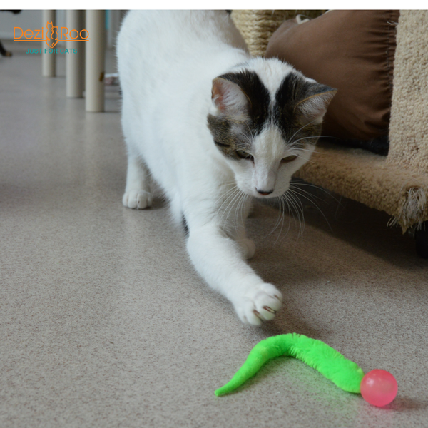 Wiggly Ball - Solid Marbled Cat Toy Bouncy Ball