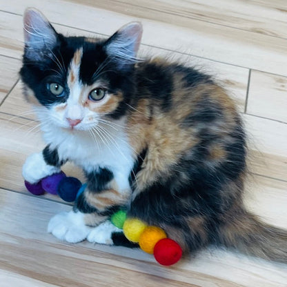 Woolly Worm Cat Toy