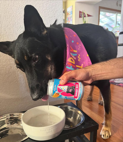Barkday Dog Beer 12oz