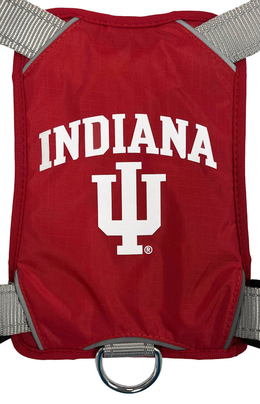 Indiana Hoosiers Dog Harness