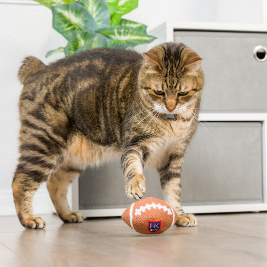 Football Cat Toy