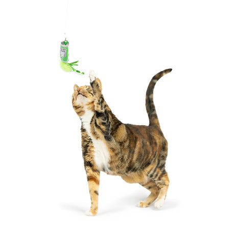 Kitty Klaw Lime Teasers 2pk Cat Wand Refil