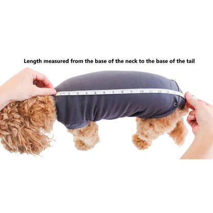 BellyGuard Recovery Suit For Dogs, Maroon