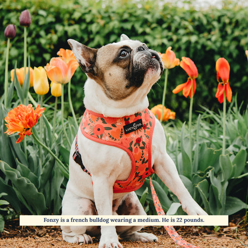 Posy Pink Reversible Harness