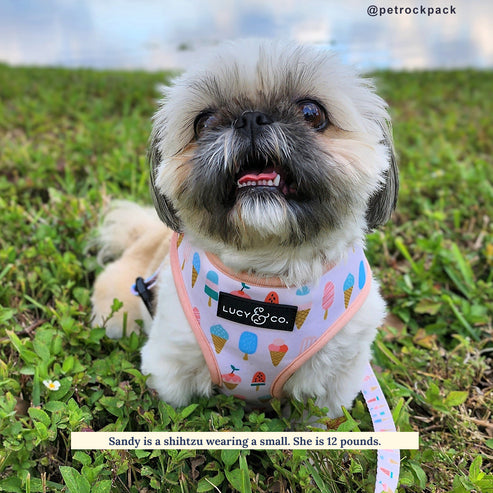 A Lotto Gelato Reversible Harness