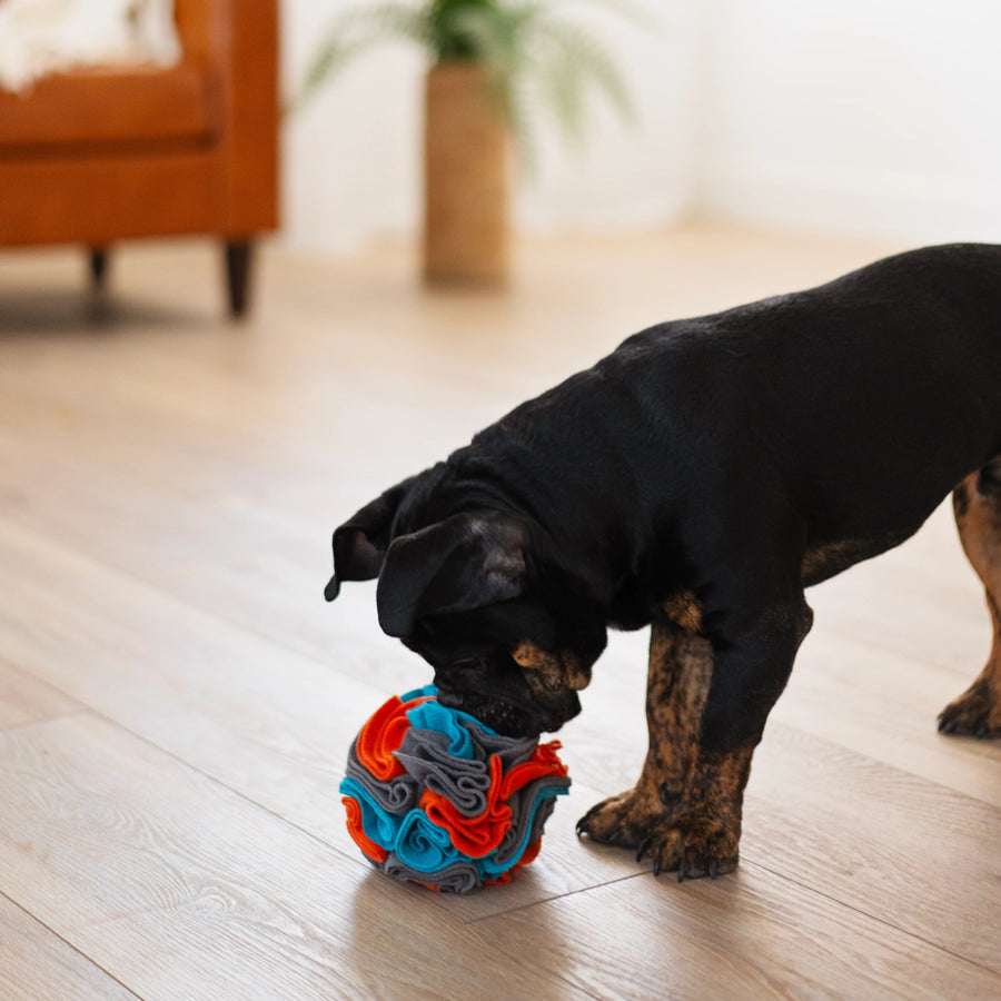 Forage/Snuffle Ball 6 inch