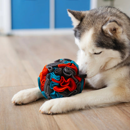 Forage/Snuffle Ball 6 inch