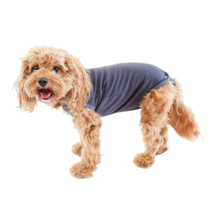BellyGuard Recovery Suit For Dogs, Grey