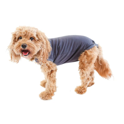 BellyGuard Recovery Suit For Dogs, Grey