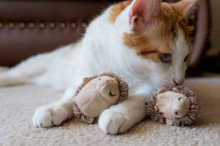 Feline Frenzy Mama and Chip Toy Set