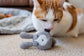 Feline Frenzy Foxsy & Hopsy Toy Set