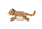 Big Five of Africa - Leopard Dog Toy