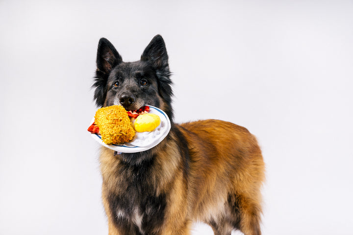 IHOP x P.L.A.Y. Breakfast Sampler Dog Toys