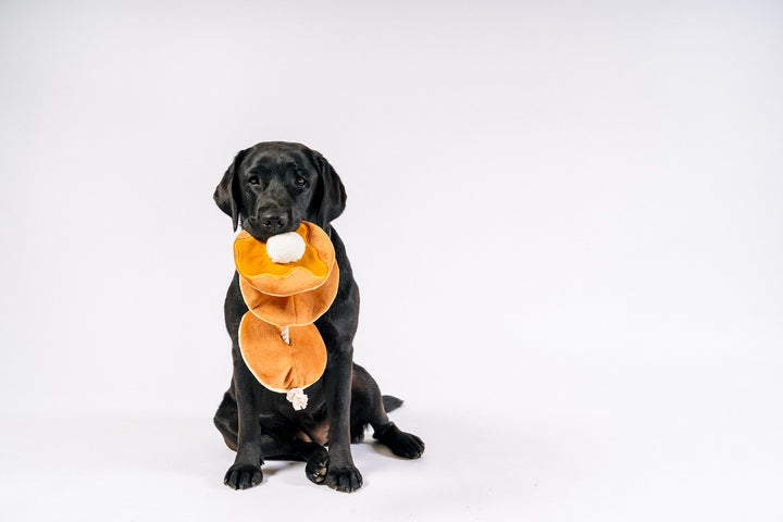IHOP x P.L.A.Y. Breakfast Sampler Dog Toys