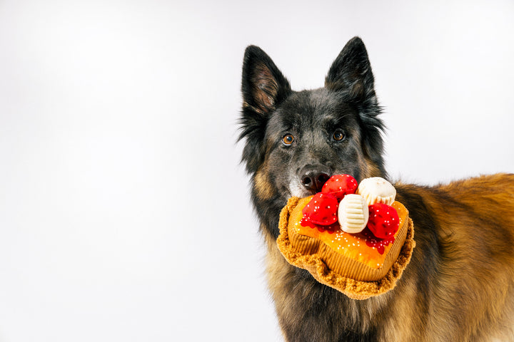 IHOP x P.L.A.Y. Breakfast Sampler Dog Toys