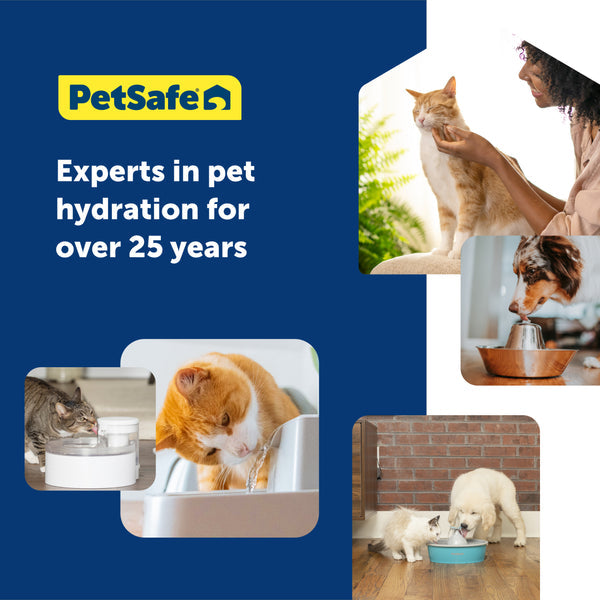PETSAFE DOG & CAT ION - X FILTER - 4 PACK