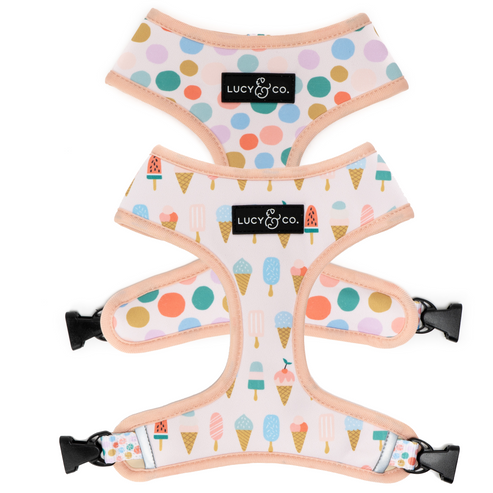 A Lotto Gelato Reversible Harness