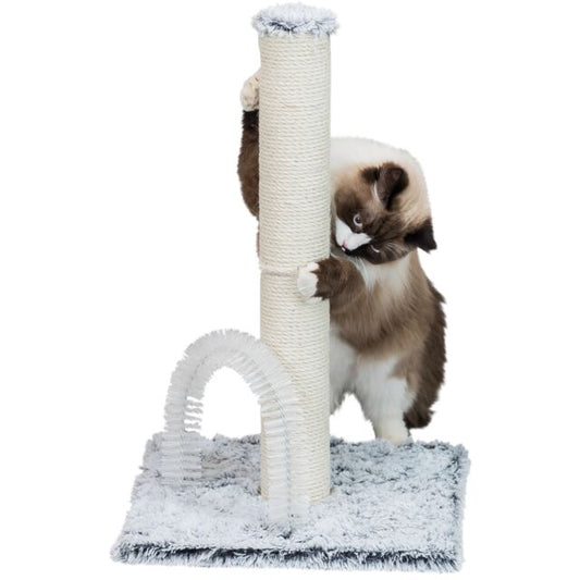Cat Lola Scratching Post with Brush