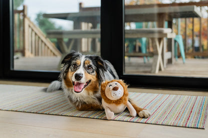 Big Five of Africa - Lion Dog Toy