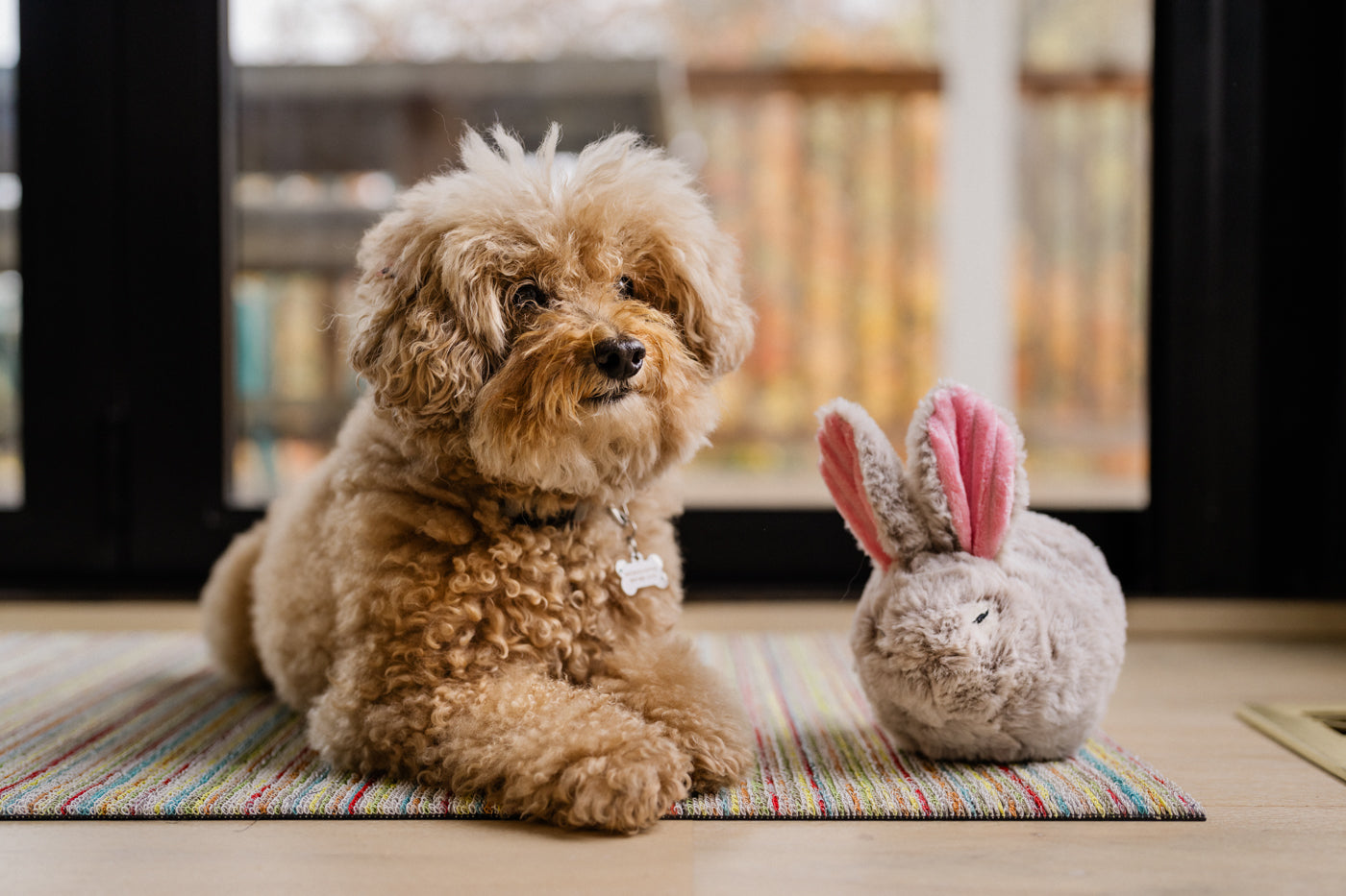 Forest Friends Baxter the Bunny