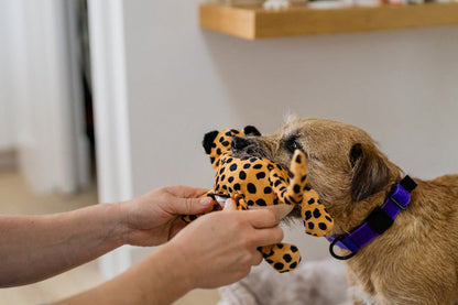 Big Five of Africa - Leopard Dog Toy