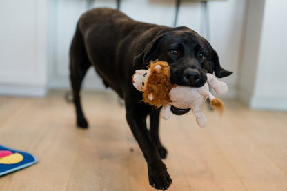 Big Five of Africa - Lion Dog Toy