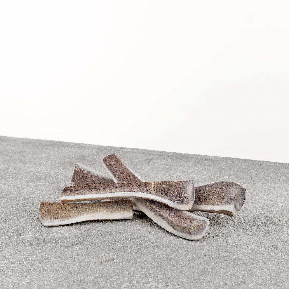 Antlers for Dogs Elk Antler
