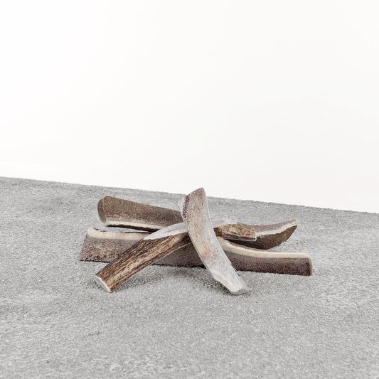 Antlers for Dogs Stag Antler