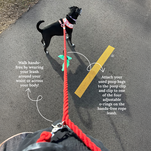 Hands-Free Rope Leash - Blueberry Twist