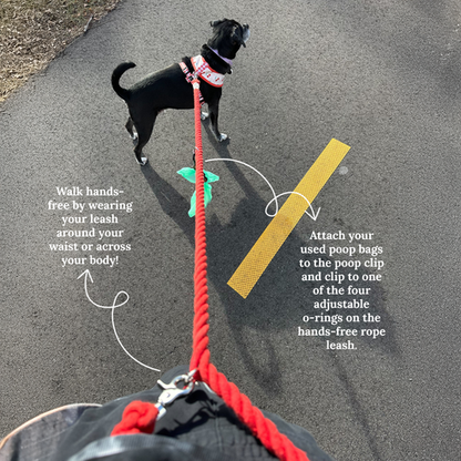 Hands-Free Rope Leash - Blueberry Twist
